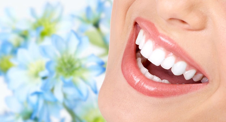 Dentisteria
